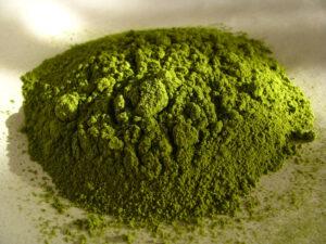 Mitragyna speciosa (strom Kratom)